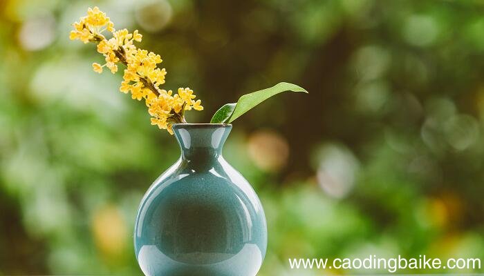 咏桂花吕声之赏析 咏桂花吕声之解析