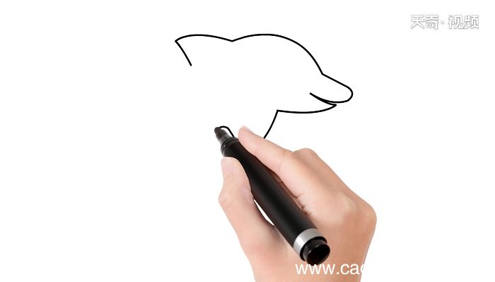 海洋动物简笔画 海洋动物画报