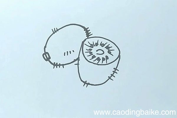 奇异果简笔画