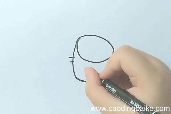 奇异果简笔画