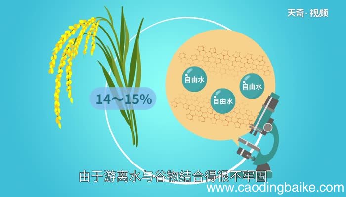 自由水的生理作用 自由水有哪些生理作用