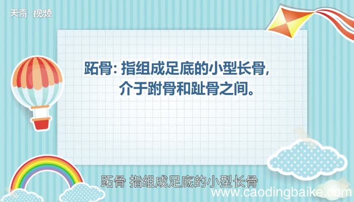 跖怎么读 跖的读法