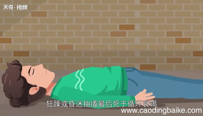 胆矾的化学式 胆矾是什么东西