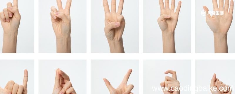 一元二次方程的解法 一元二次方程的解法是几年级学的