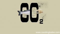 2co2中2的含义 2co2中2的含义是什么