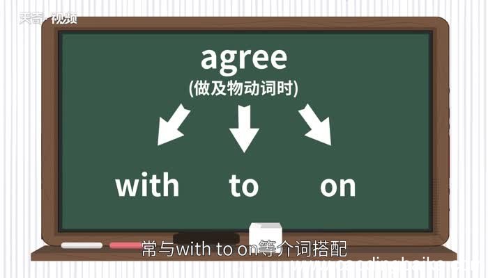 agree的用法 agree的用法大全