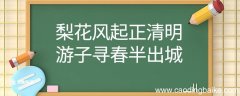梨花风起正清明游子寻春半出城翻译 梨花风起正清明游子寻春半