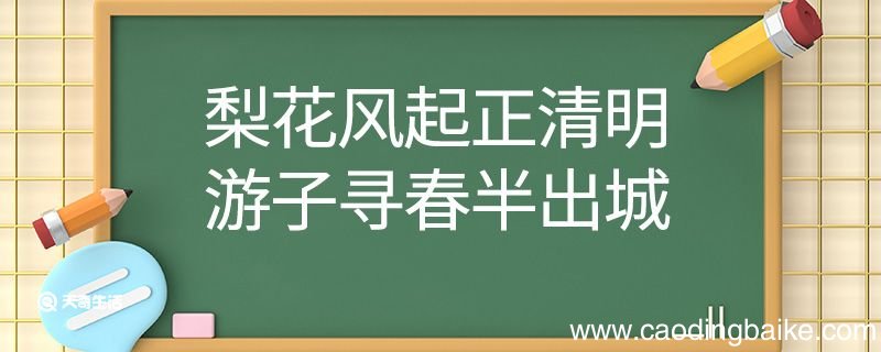 梨花风起正清明游子寻春半出城翻译 梨花风起正清明游子寻春半出城的翻译