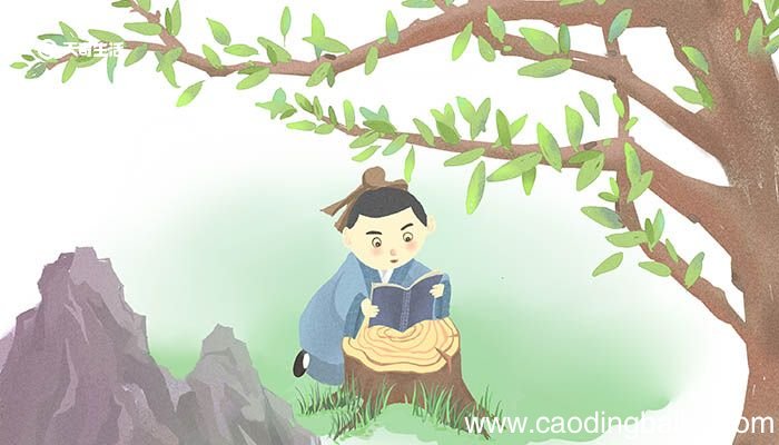 梨花风起正清明游子寻春半出城翻译 梨花风起正清明游子寻春半出城的翻译