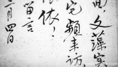 走字旁一般与什么有关 走字旁一般与啥有关