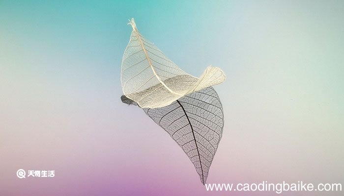 若无其事造句 若无其事如何造句