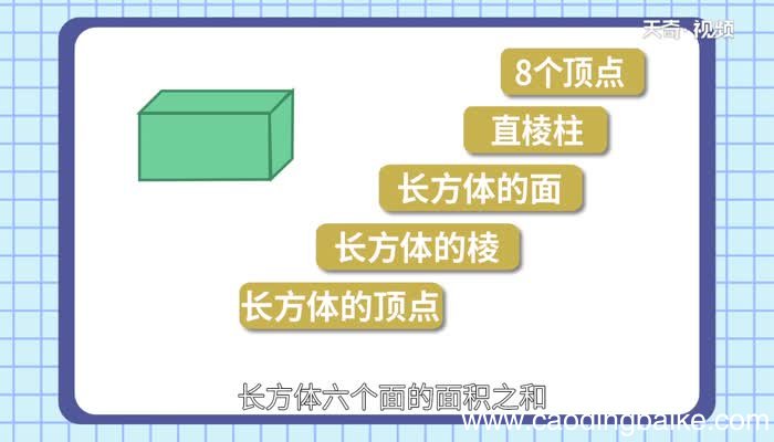 长方体有多少个顶点长方体的顶点有多少个
