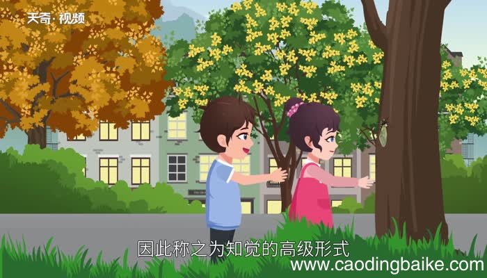 观察的意思 观察什么意思