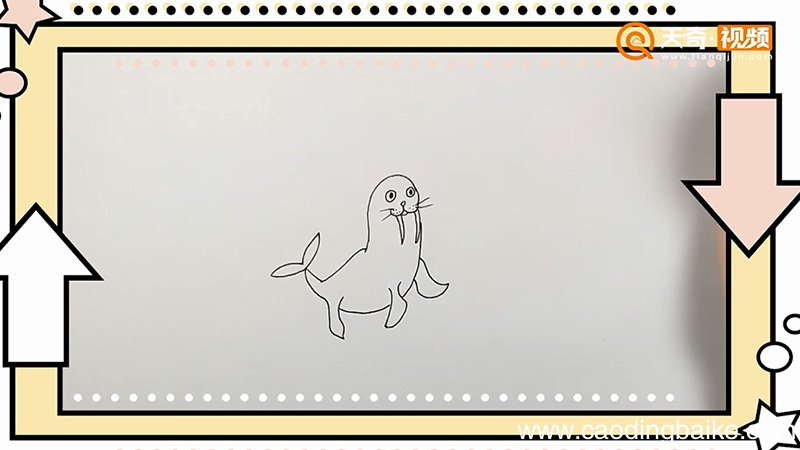 小海狮简笔画