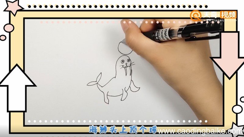 小海狮简笔画