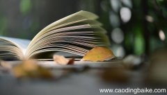 喽音序是什么 喽的音序