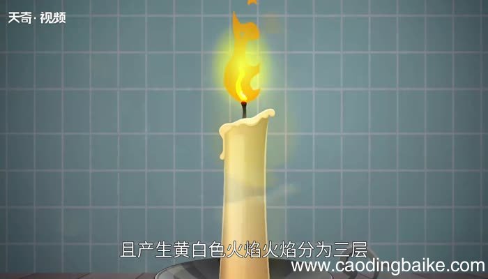 蜡烛燃烧的现象点燃的蜡烛有什么特点