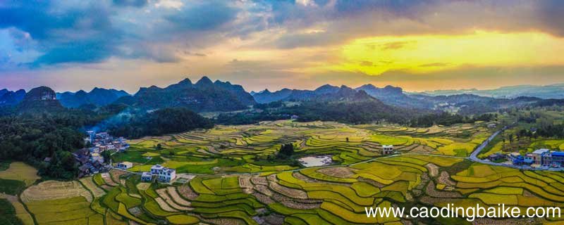 三黑和土地主要讲了什么 三黑和土地主要讲了什么内容