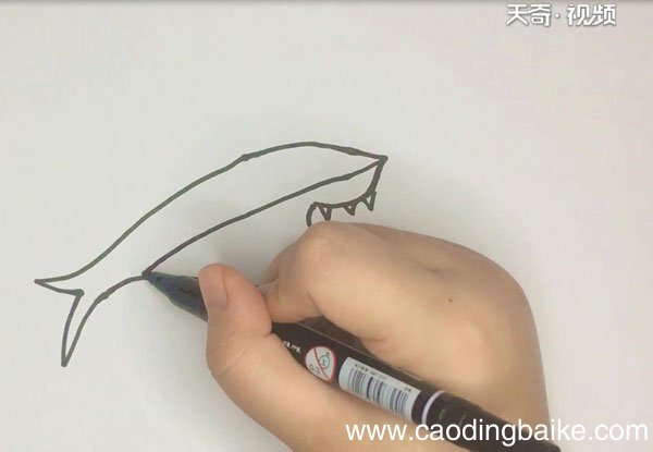 鲨鱼的简笔画