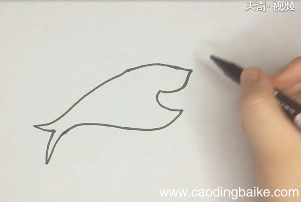 鲨鱼的简笔画