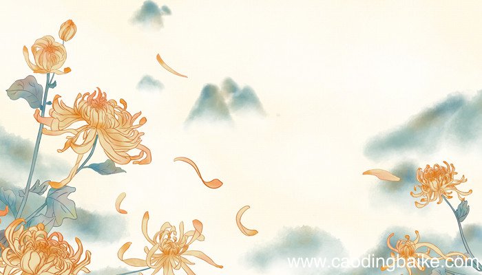 寂静的春天经典语录 寂静的春天经典语录有什么