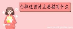 白桦这首诗主要描写什么 白桦主要描写什么