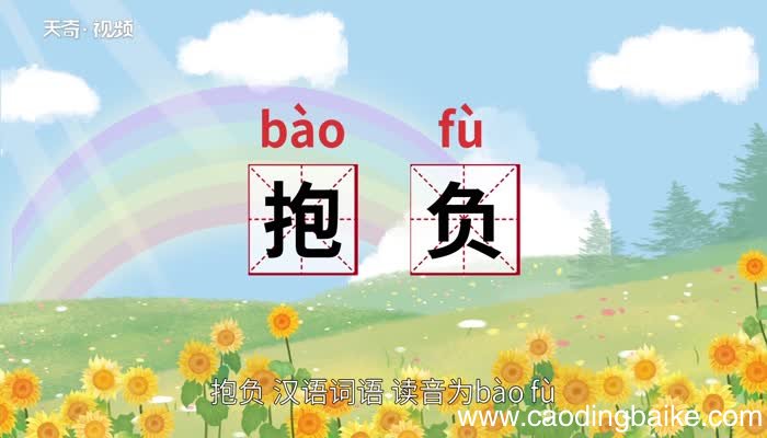 抱负的意思 抱负的意思是什么