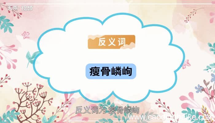 膘肥体壮的意思 膘肥体壮的出处