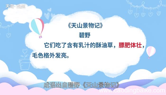 膘肥体壮的意思 膘肥体壮的出处