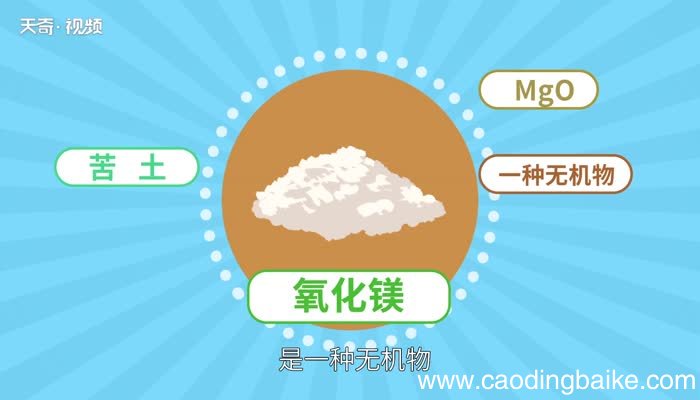 氧化镁的化学式氧化镁化学方程式怎么写