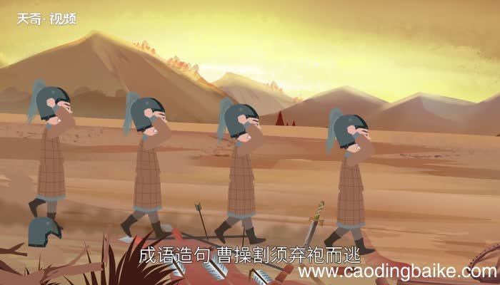 割须弃袍的意思 割须弃袍是什么意思