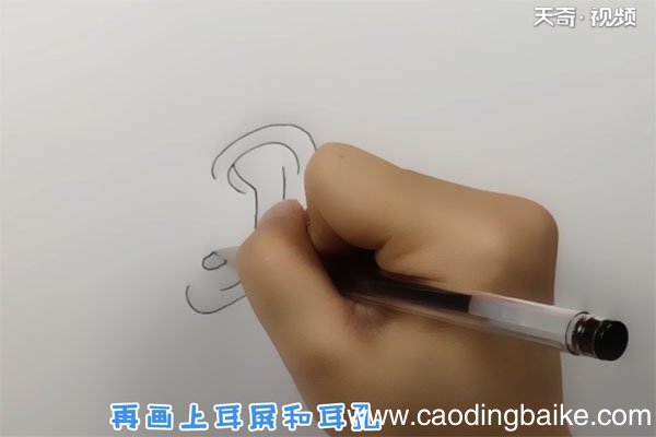 耳朵简笔画