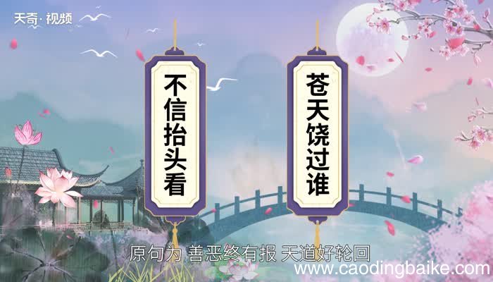 苍天饶过谁前一句 苍天饶过谁的前一句是什么