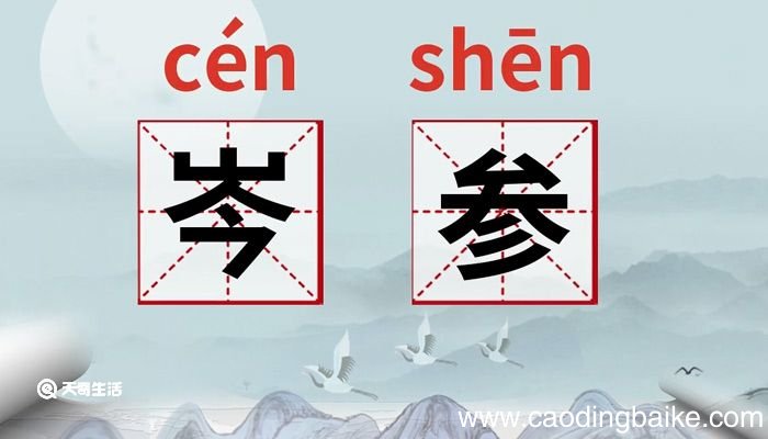 岑参的意思 岑参的意思是什么
