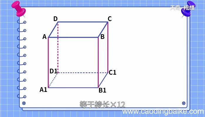 正方体的棱长总和等于什么正方体的棱长总和怎么算