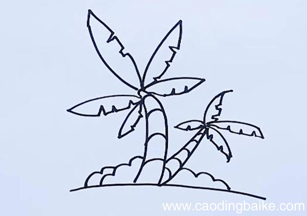 椰子树简笔画 椰子树简笔画带颜色
