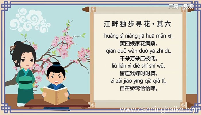 江畔独步寻花其六古诗朗读 古诗朗读江畔独步寻花其六