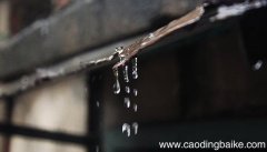 望湖楼醉书描写的是哪种雨，望湖楼醉书描写的是什么季节的雨