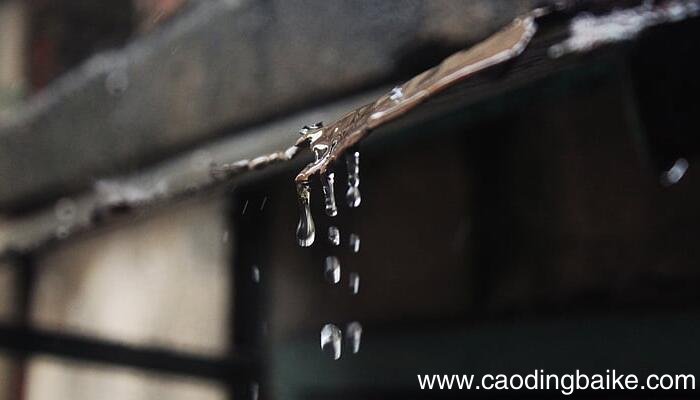 望湖楼醉书描写的是哪种雨，望湖楼醉书描写的是什么季节的雨