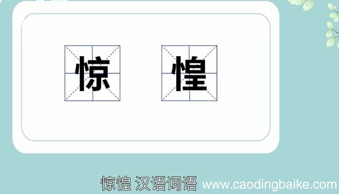 惊惶的意思 惊惶的意思解释