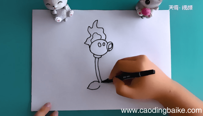 火焰豌豆射手简笔画 火焰豌豆射手简笔画怎么画