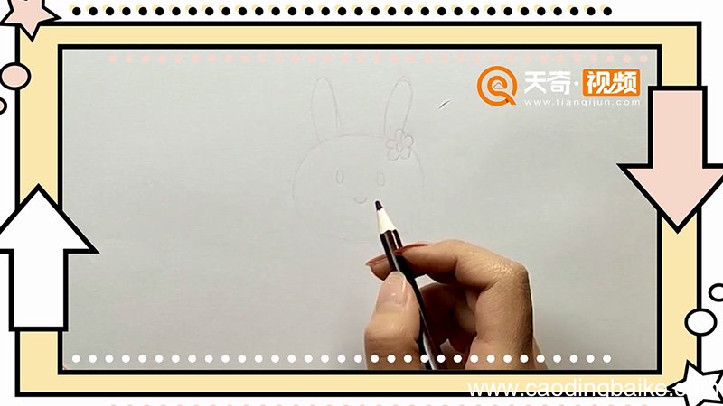兔子怎么画