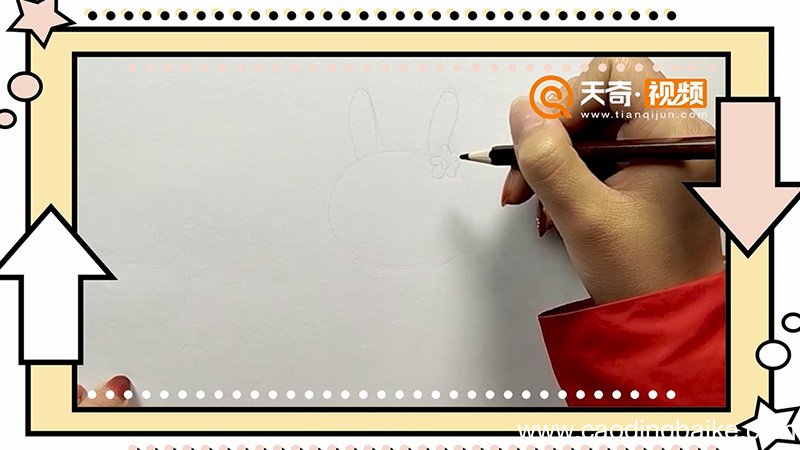 兔子怎么画