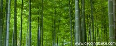有竹堂记晁补之翻译 书晁补之所藏与可画竹其二翻译