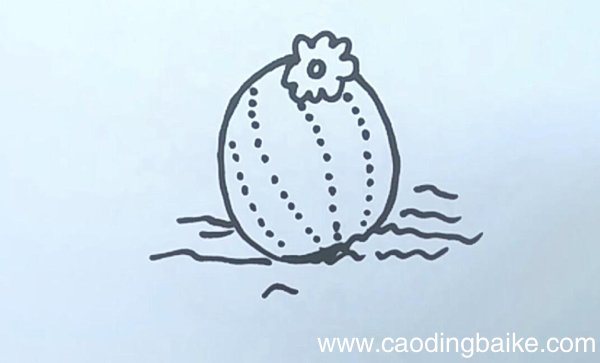 仙人球的简笔画仙人球简笔画步骤