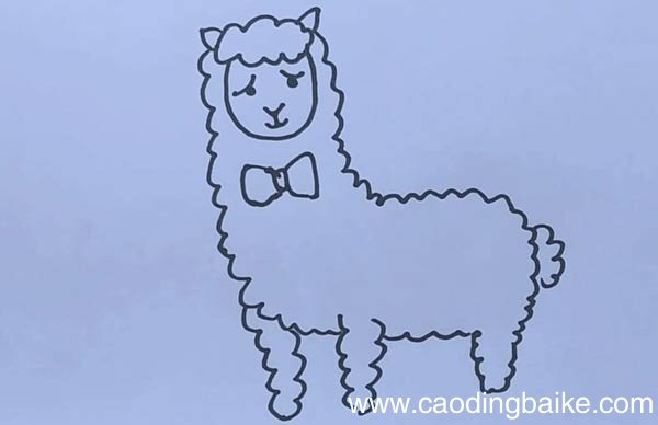 羊驼简笔画 羊驼简笔画步骤图