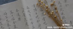 照应造句 照应词语造句