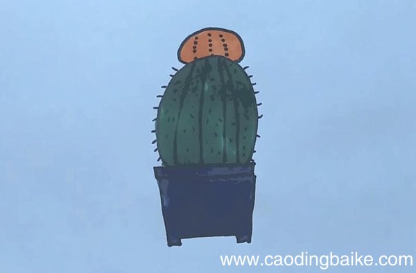 仙人球简笔画仙人球怎么画
