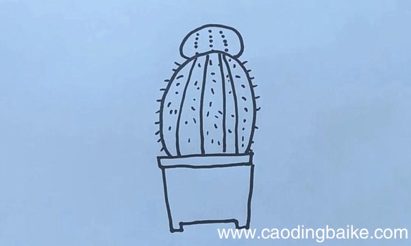 仙人球简笔画仙人球怎么画