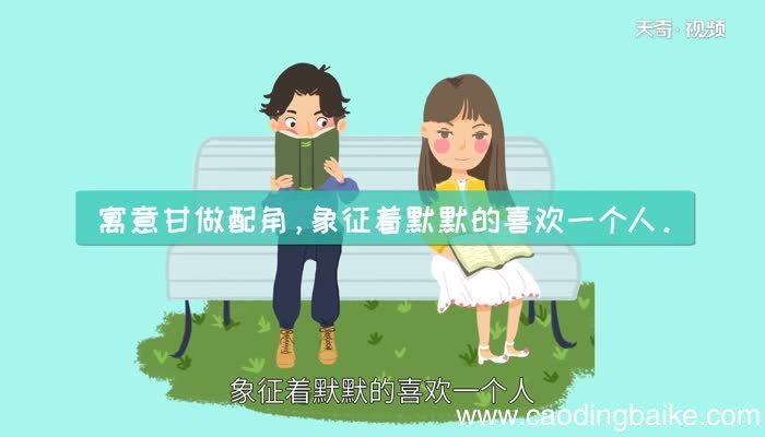 满天星花语和寓意 满天星的话语和寓意是什么